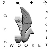 iwooketlogosmall