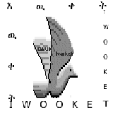 iwooketlogotransparentnewsmall