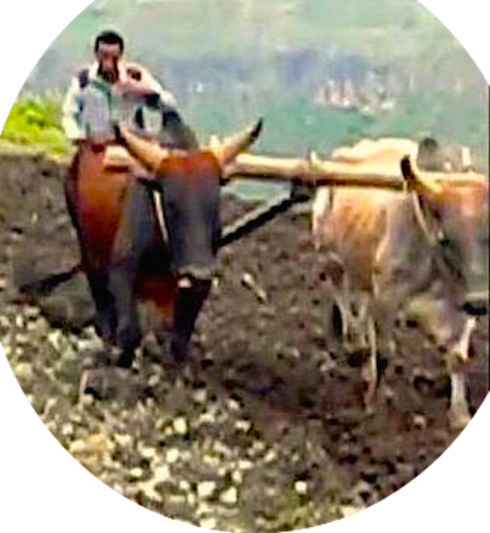 የብሄር መኖር መስፈርቶችን ኢትዮጵያ ዉስጥ የሚያሙዋላ አማራ ነው